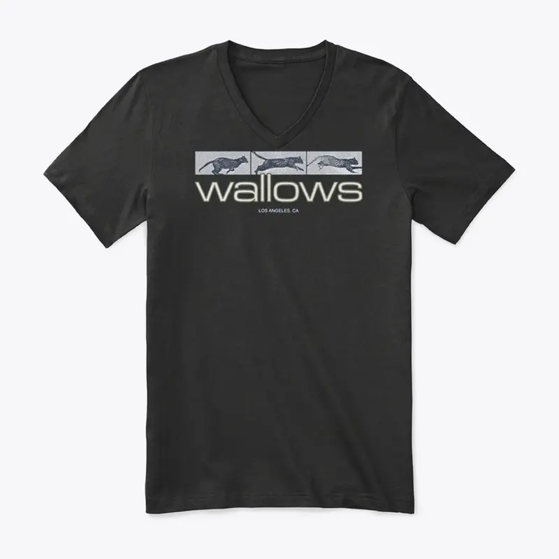 Wallows Merch