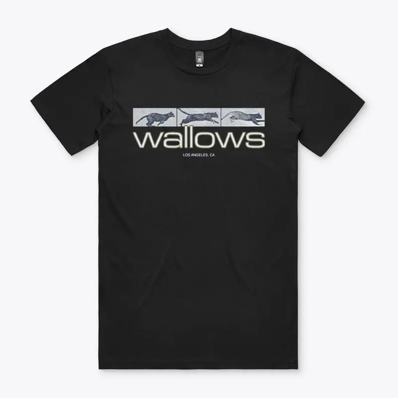 Wallows Merch