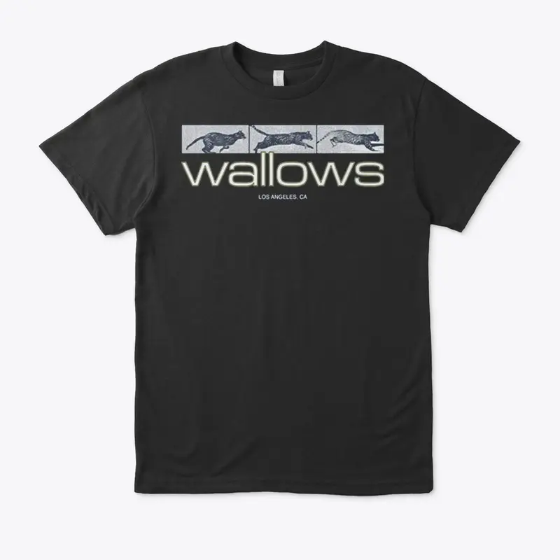 Wallows Merch