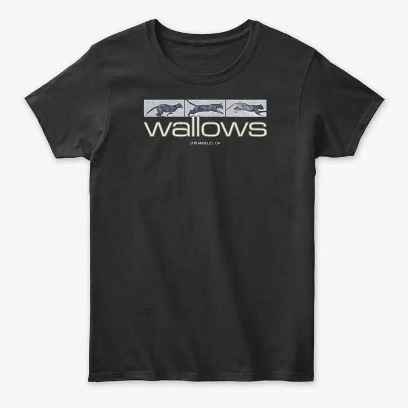 Wallows Merch