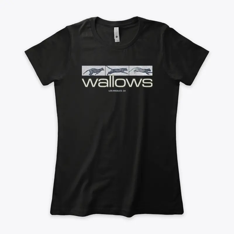 Wallows Merch