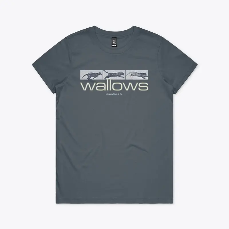 Wallows Merch