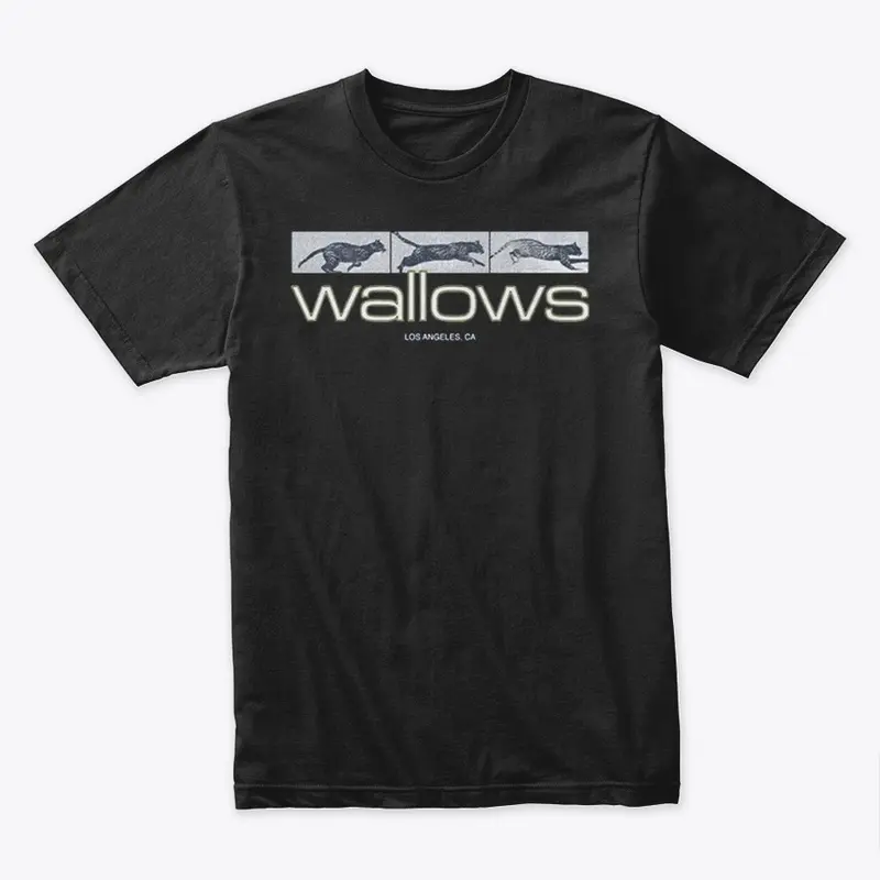 Wallows Merch