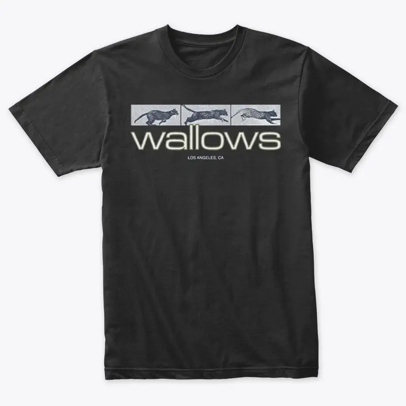 Wallows Merch