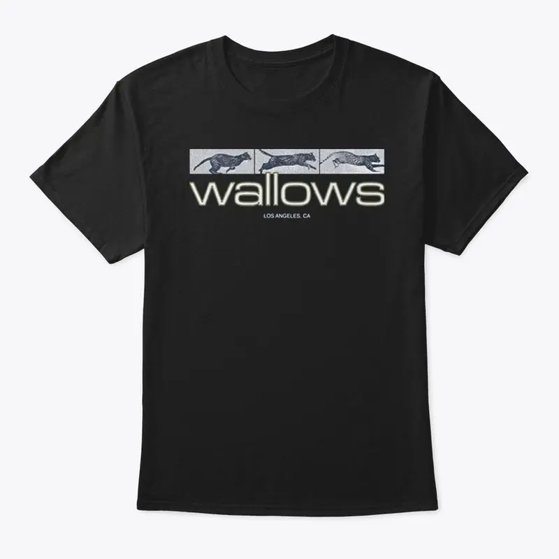 Wallows Merch