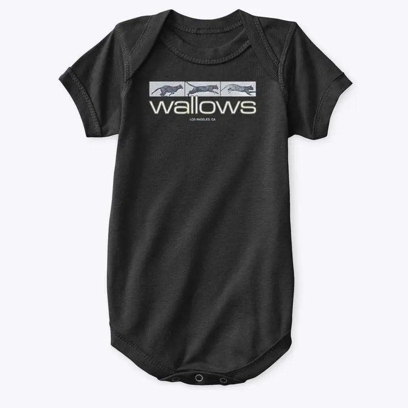 Wallows Merch