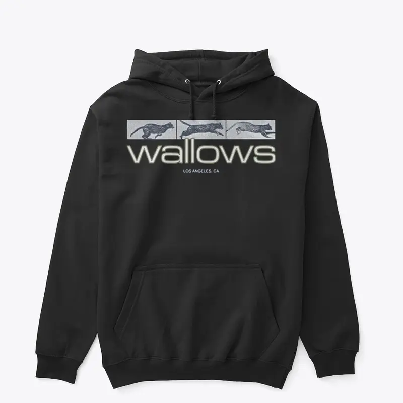 Wallows Merch