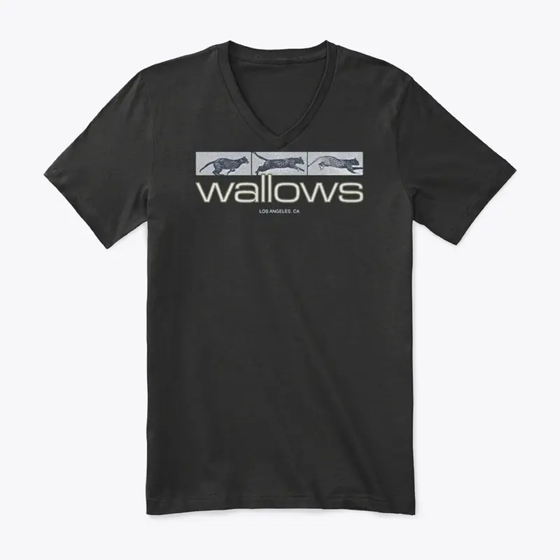 Wallows Merch