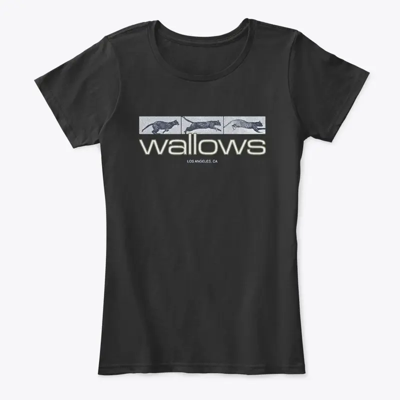 Wallows Merch