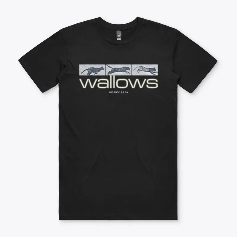 Wallows Merch