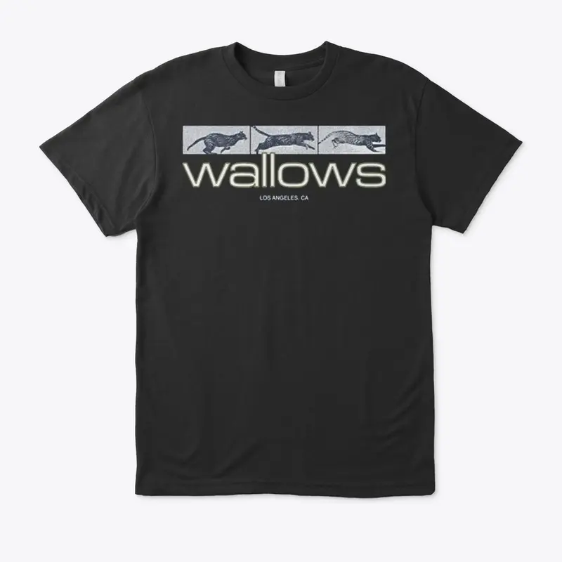 Wallows Merch