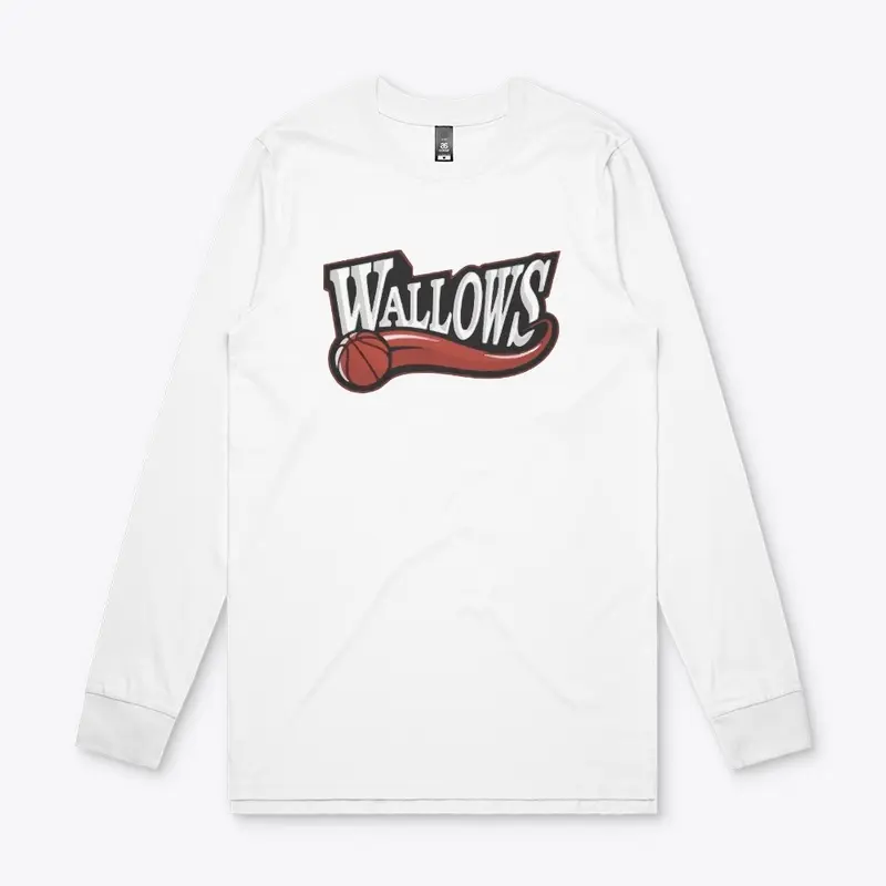 Wallows Merch