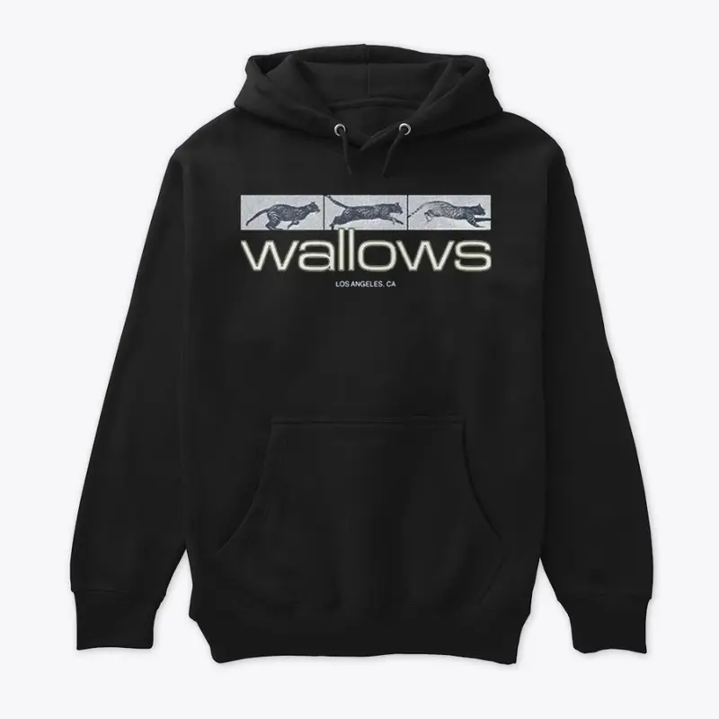 Wallows Merch