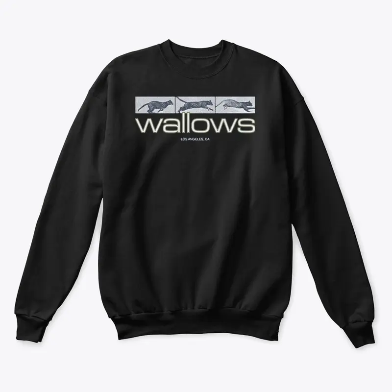 Wallows Merch