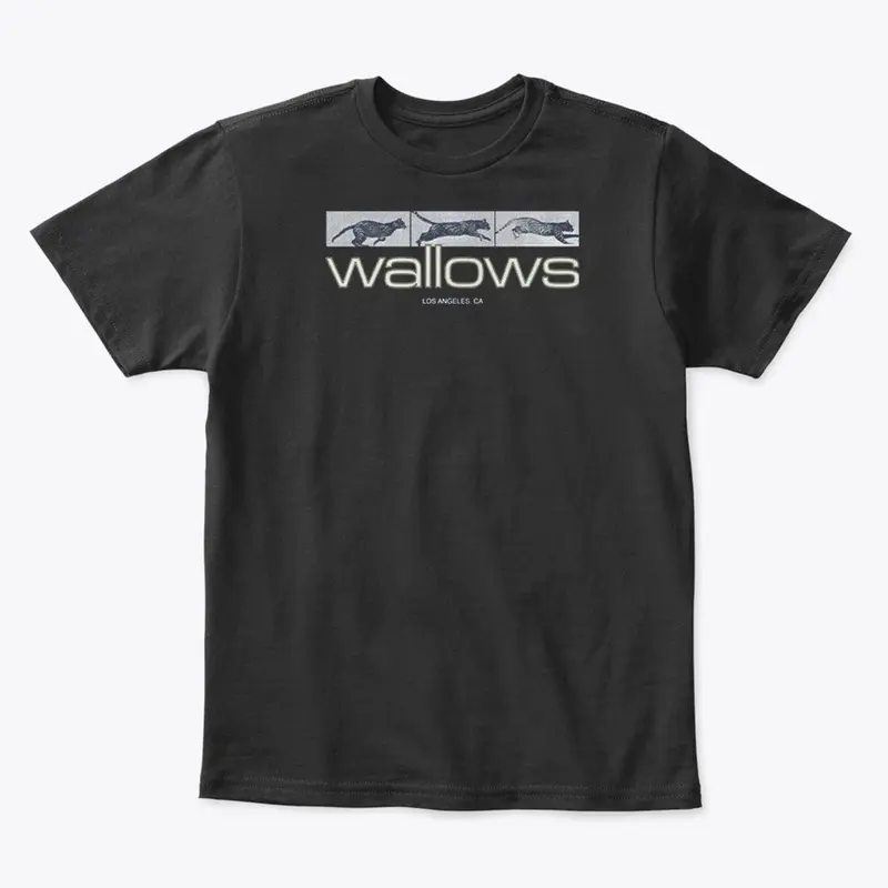 Wallows Merch