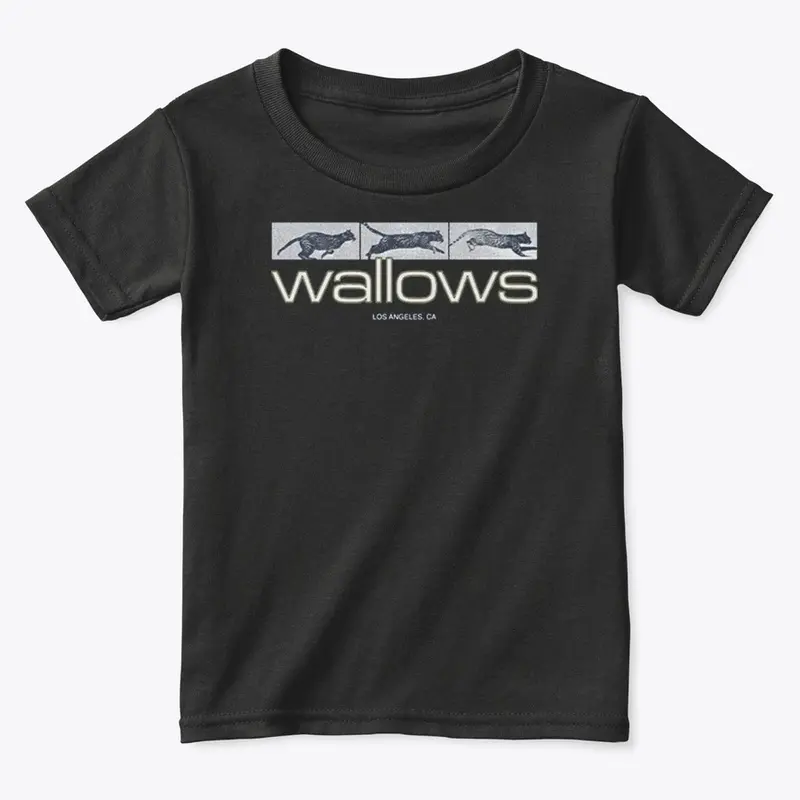 Wallows Merch