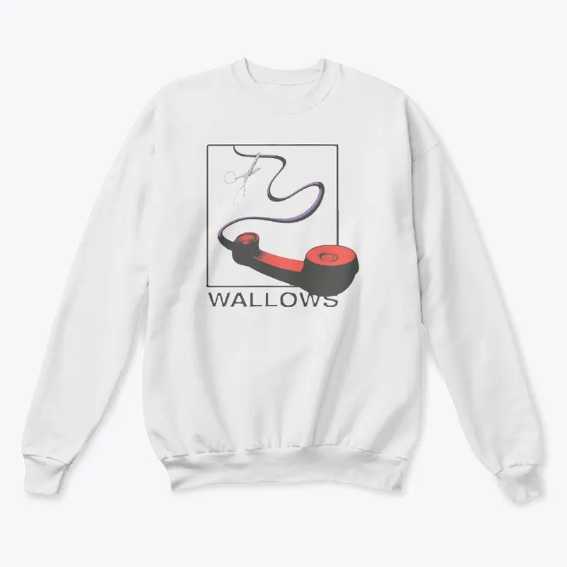 Wallows Merch