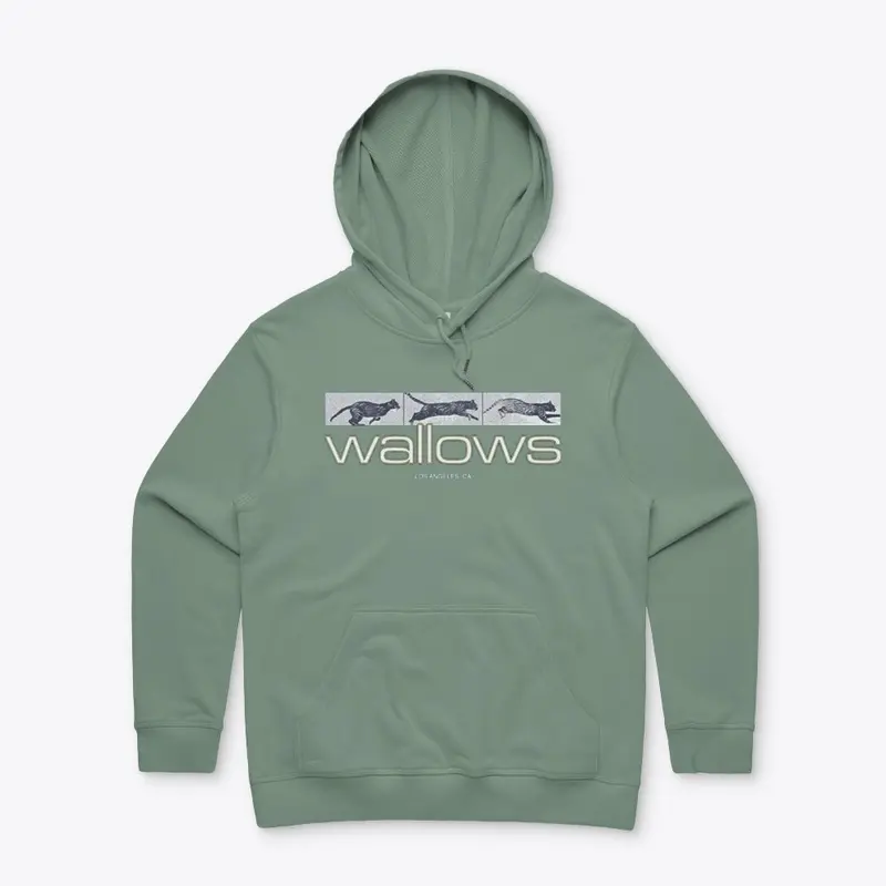 Wallows Merch