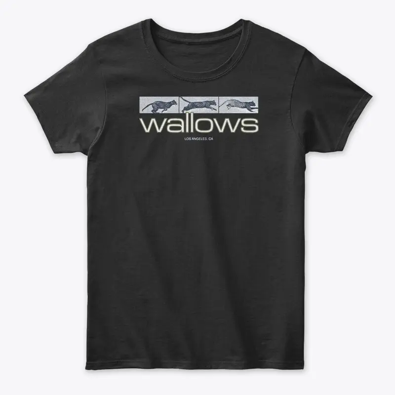 Wallows Merch