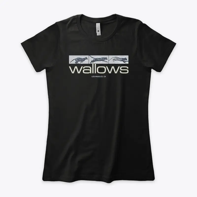 Wallows Merch