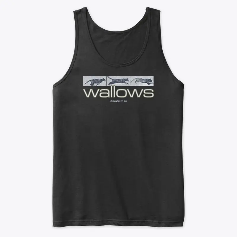 Wallows Merch