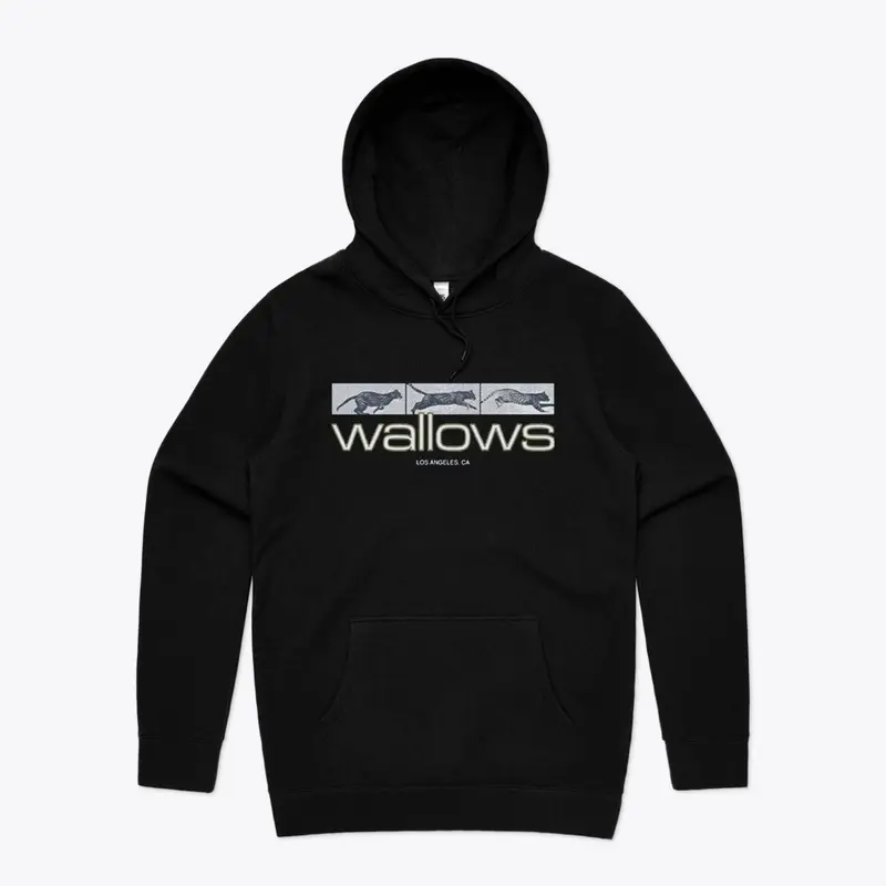 Wallows Merch