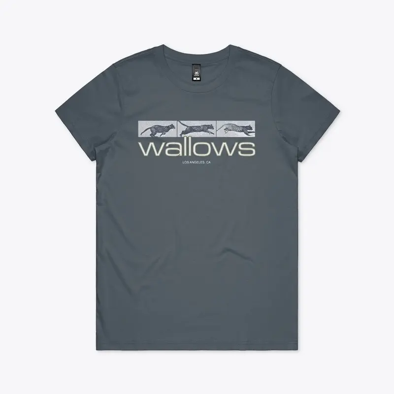 Wallows Merch