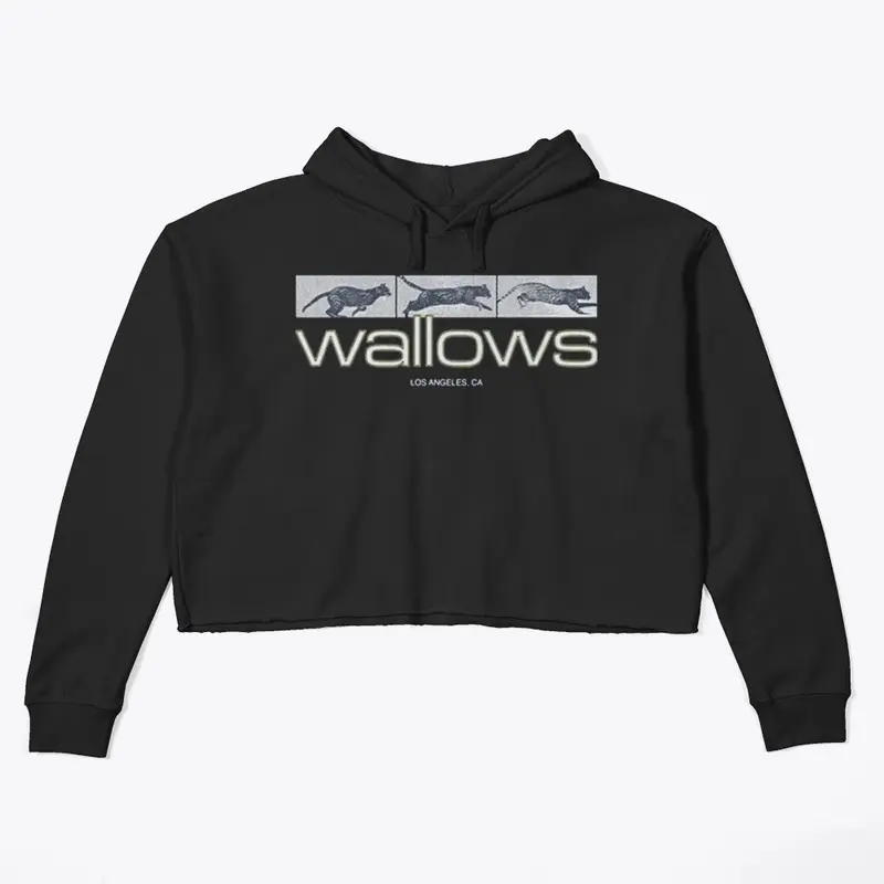 Wallows Merch