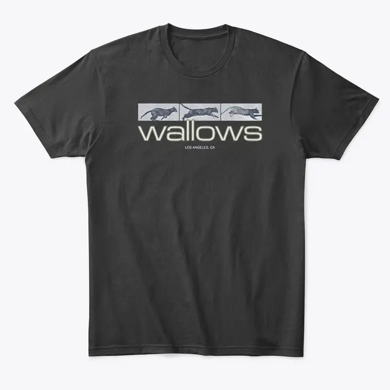 Wallows Merch